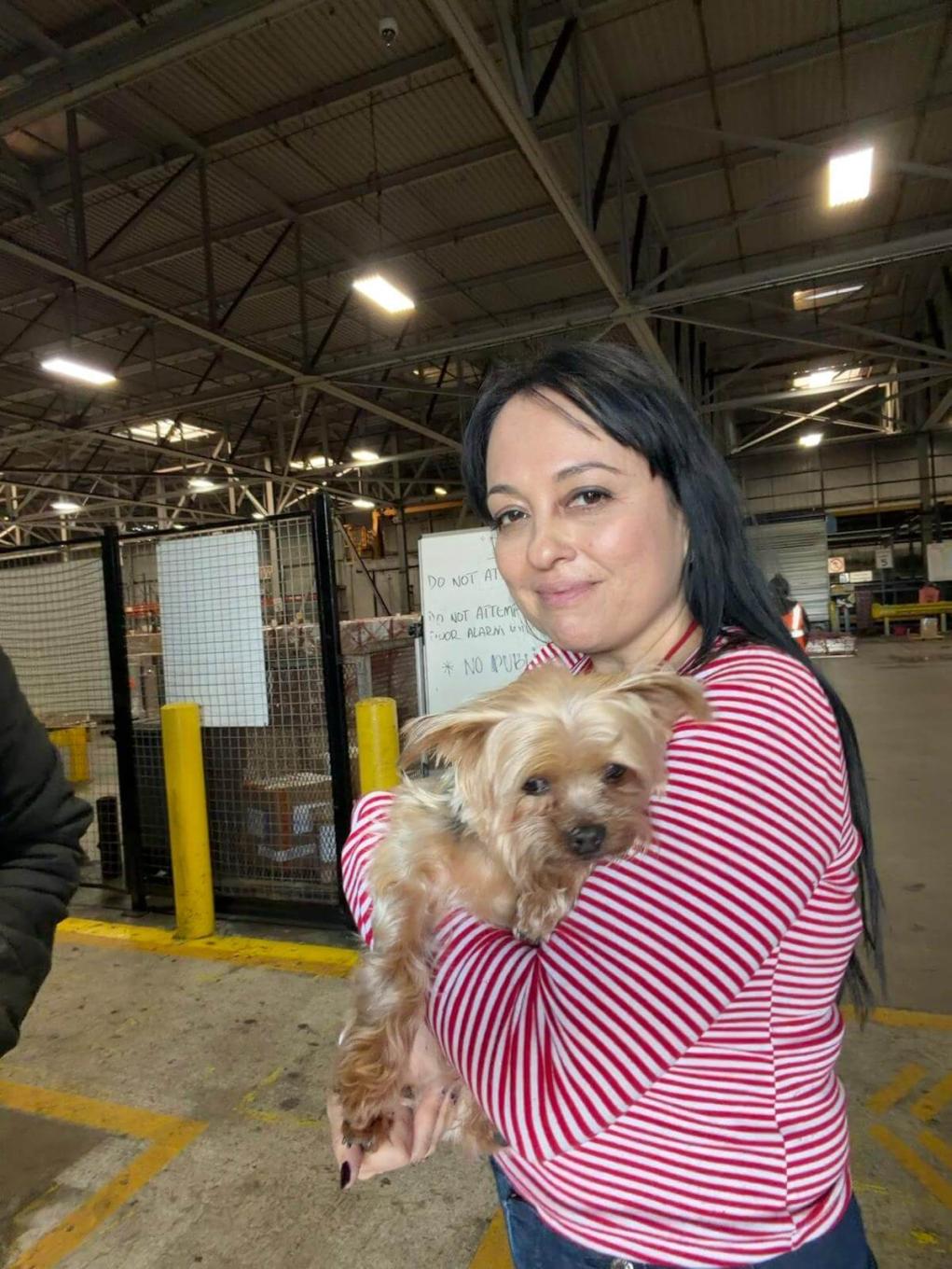 international-dog-shipping-departure