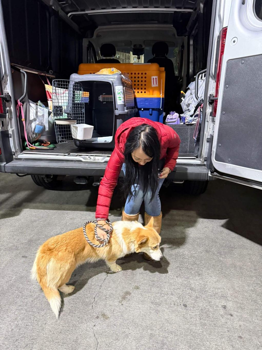 pet-transport-lax-cargo-pickup