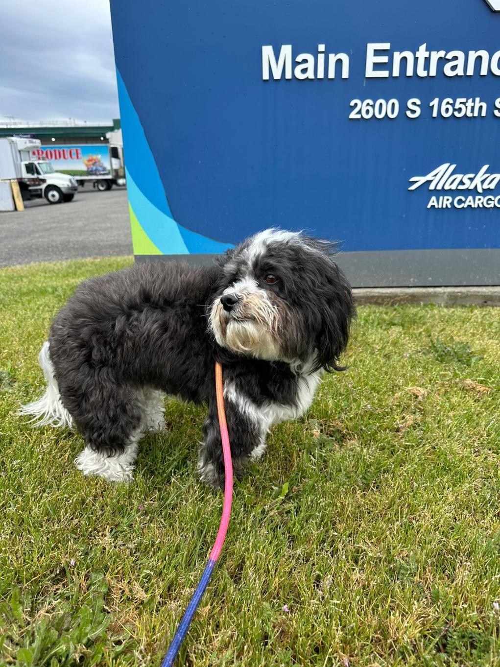 481b6e65-f363-4c55-b9c9-55f056c270f1