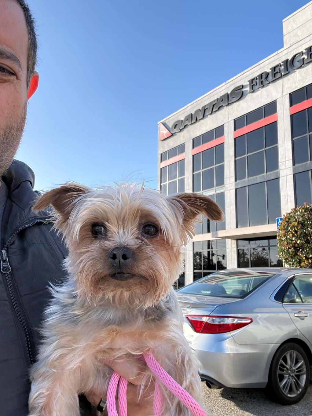 safe-pet-transport-australia