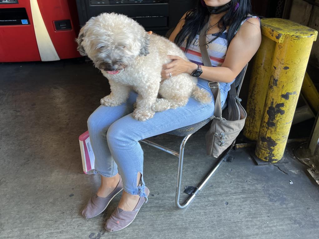 FF6F0D53-99A9-4F53-AD00-75E1B68EBBD4