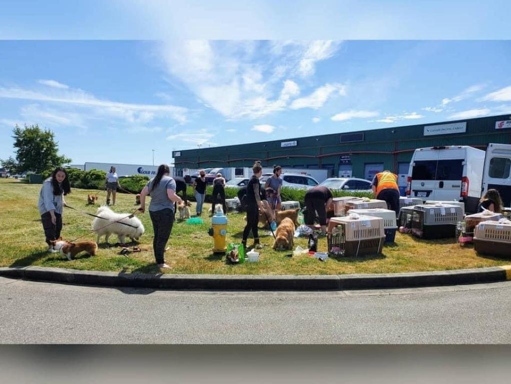 C736D934-DDBD-4EB0-8C17-804A64095075