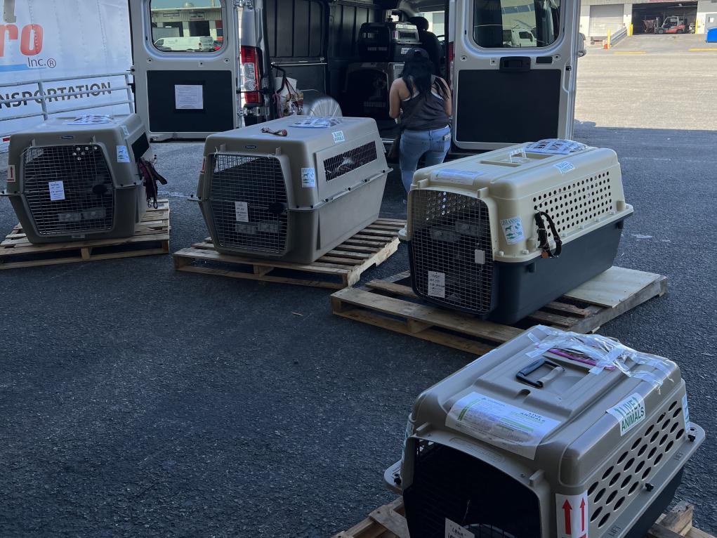 D13B58BD-B2DF-4C3A-809E-AAE80AF620E1