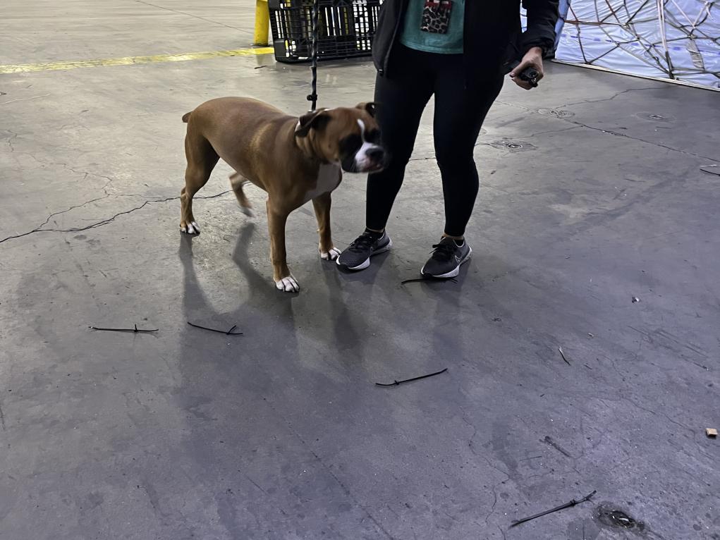 2CB53CD8-6B39-4067-8E57-BF467291A908