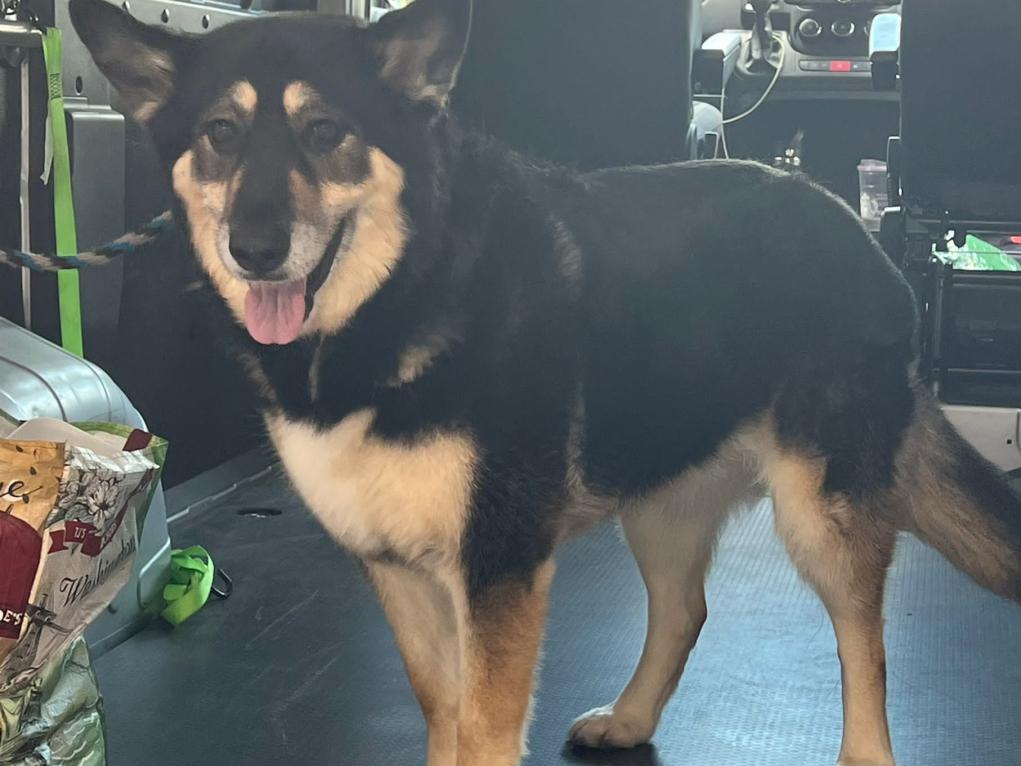 0FB6EB36-5C4F-49F7-A03C-545BB4E46D69