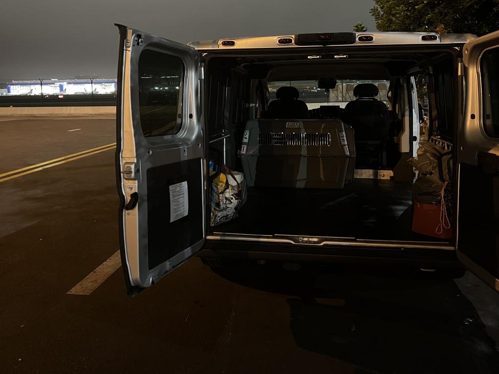 90ACE1F6-B47C-413D-96A8-904AF00D8278