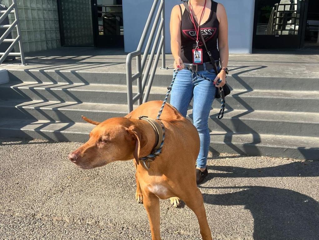 45C9596F-C7A2-40F2-9997-17F45904EB04