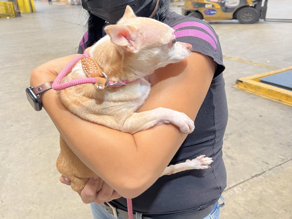 7A5C3796-864C-4514-A899-F5020618597F