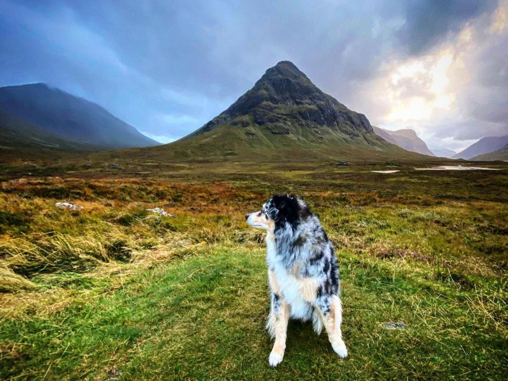 75E6B3EB-6BA7-4242-96D4-B092E6E4A208