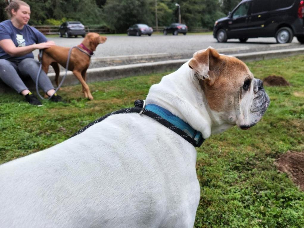 52CBB75B-EB28-4943-AFC4-EF8E00BCD6E7