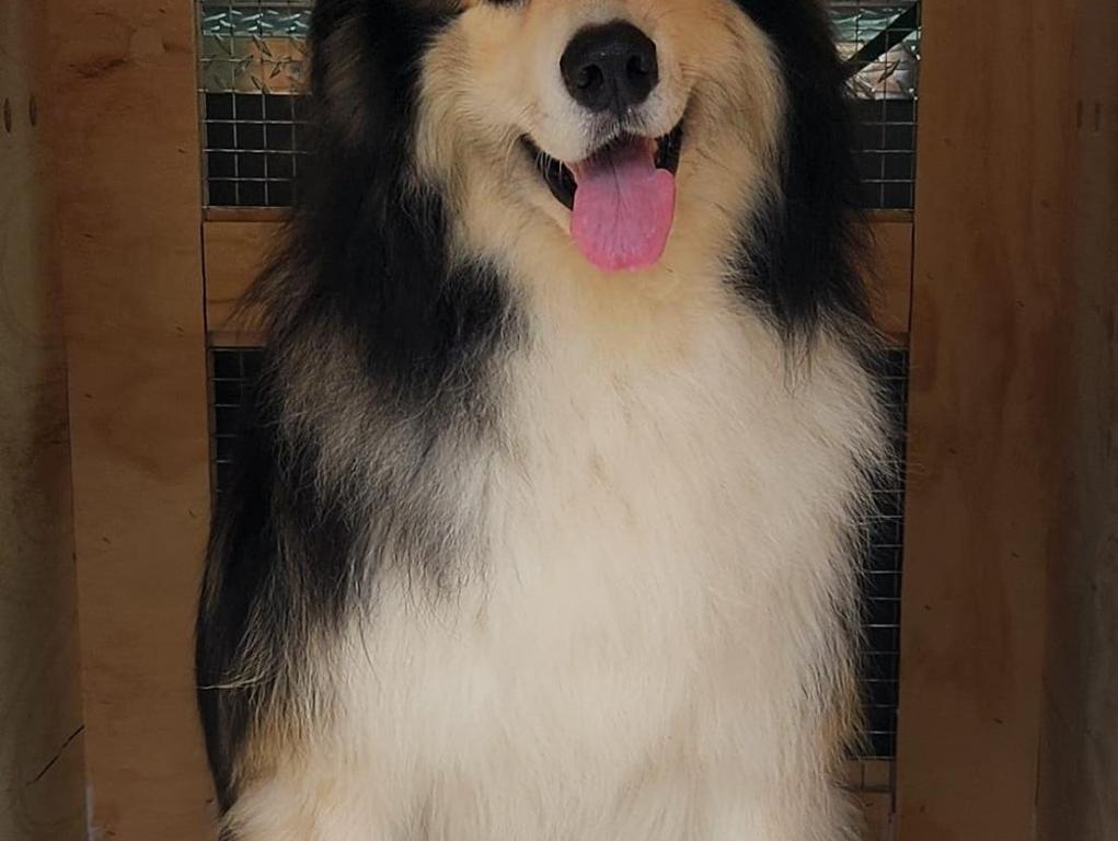 908A35D3-6766-424E-BB5C-BF572C377985