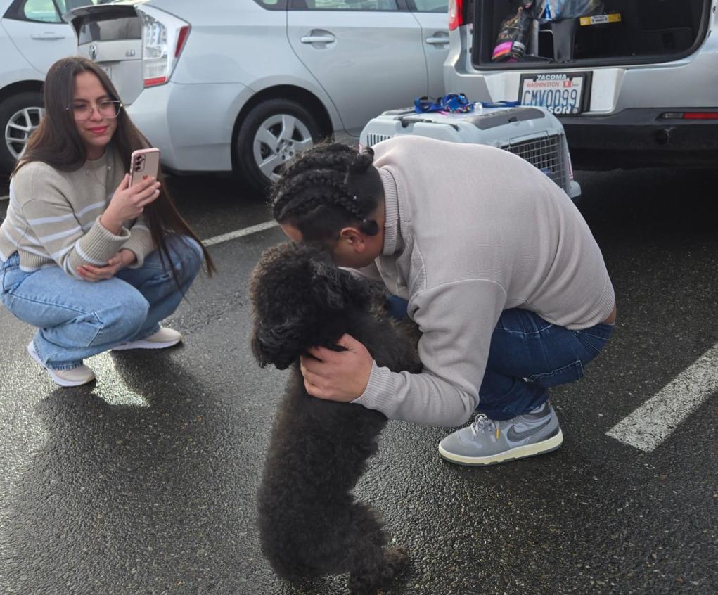 b8fd9333-d82b-4ccd-ab76-eca718be4cea