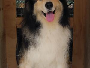 908A35D3-6766-424E-BB5C-BF572C377985