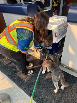 2f47787a-d912-48ab-b6ab-385ae1a19b0a