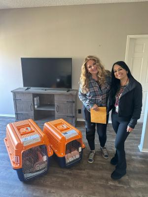 5d5d44c8-e61e-437f-951f-007a849ed969