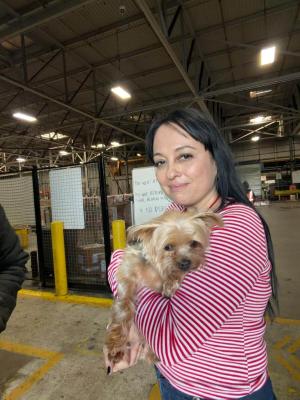 international-dog-shipping-departure