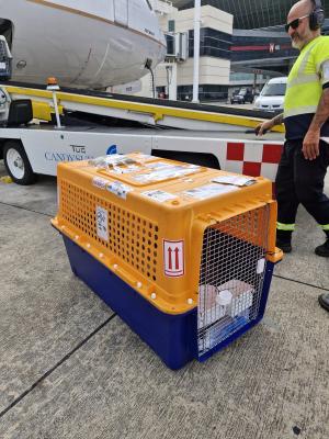 9a7c1780-adca-41a8-ab42-613f5603eac3