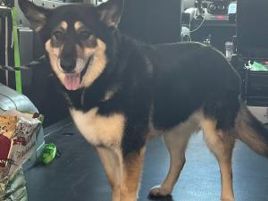 0FB6EB36-5C4F-49F7-A03C-545BB4E46D69