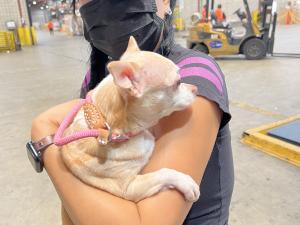 7A5C3796-864C-4514-A899-F5020618597F