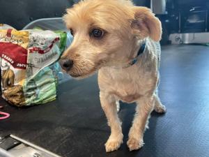 7885048E-06E5-4821-93B2-06EECB9732C2