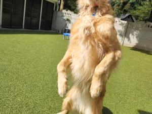 78177BFA-B047-4C9A-AF6B-F07BCCC9EBAD