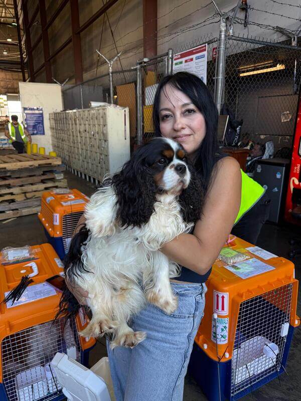 Across The Pond Pets agent at the airport cargo office with a dog traveling internationally