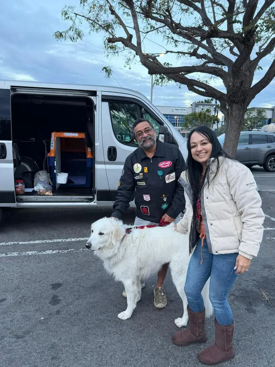 Anakin with his owner and an Across The Pond Pets team member next to the pet transport van near LAX