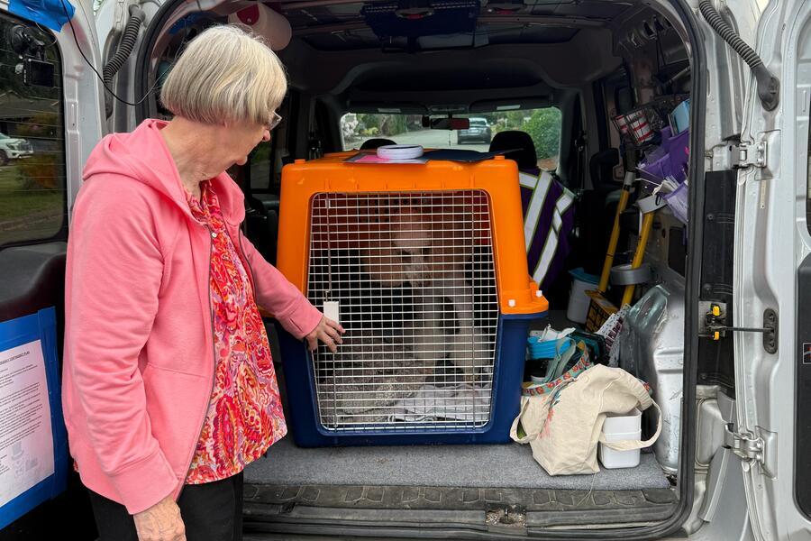 Lucy and her family preparing for international relocation from Seattle to Panama City
