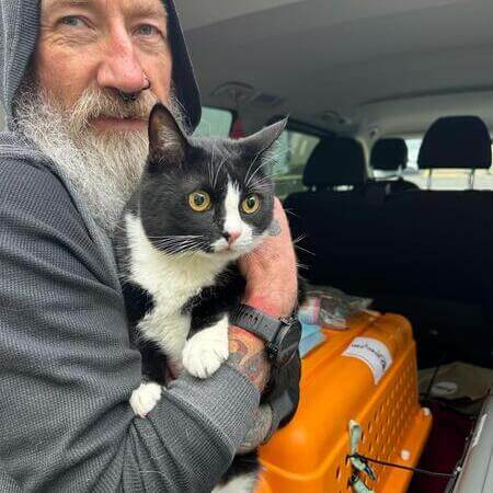 Cat Shipping Transportation Services