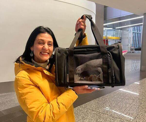 Across The Pond Pets nanny escort delivering a pet to its new owner at final destination