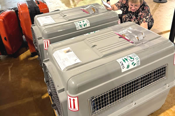 Pet in IATA-approved travel crate, preparing for international air travel