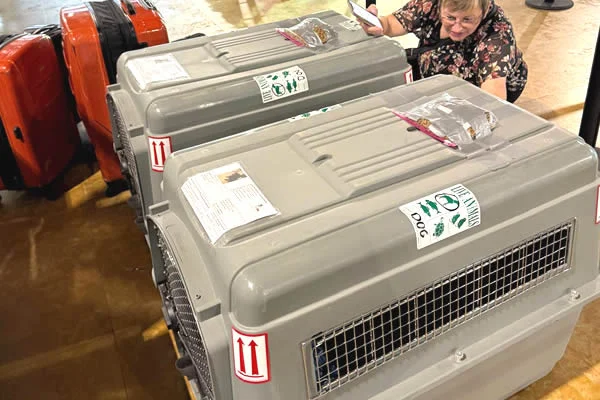 Pet in an IATA-compliant travel crate, ready for air travel